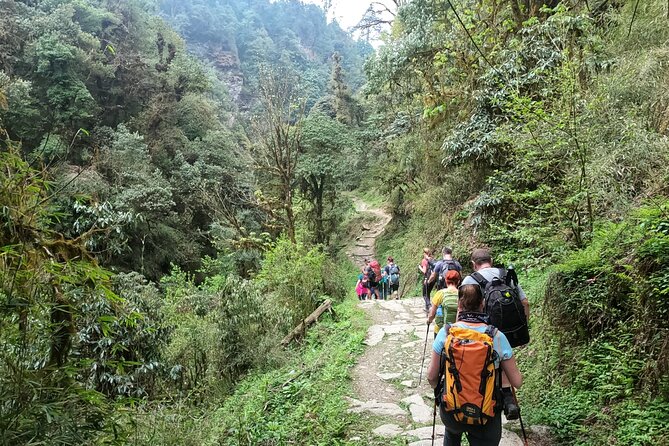 Private 4 - Day Poon Hill Trekking - Last Words