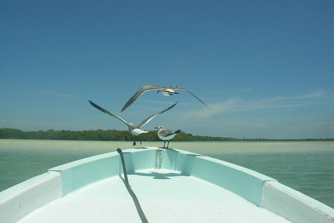 Private Boat to Visit Holbox Surroundings (3-Island Tour) - Recommendations for 3-Island Tour