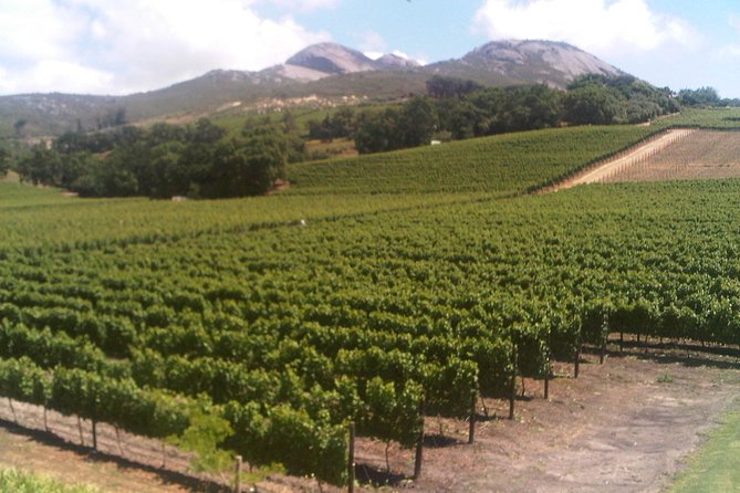 Private Cape Winelands From Stellenbosch or Franschhoek or Paarl - Cancellation Policy and Refunds