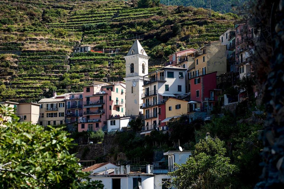 Private Cinque Terre Tour From Florence With Optional Hike - Important Information