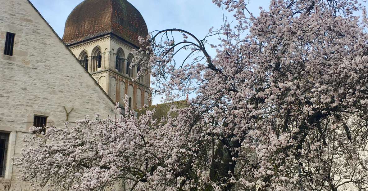 Private City Tour - Beaune the Essential - 2h - Experience Interaction and Price