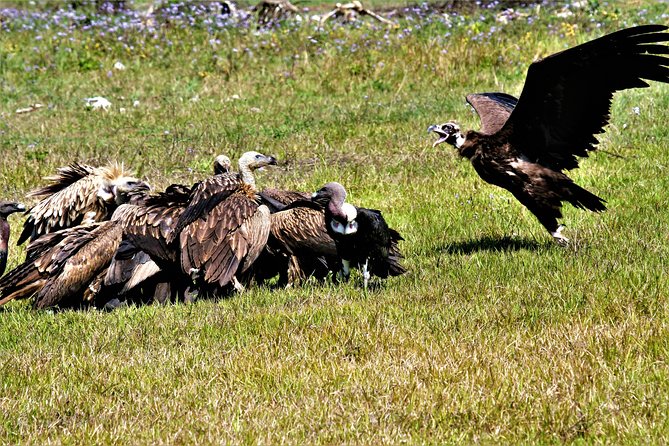 Private Day Hike and Birding Tour, Shivapuri National Park  - Kathmandu - Last Words