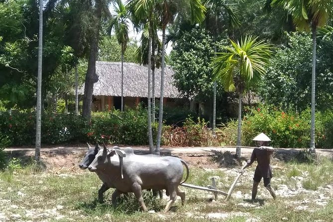 Private Day Trip to Visit MY LAI MASSACRE From Hoi an or Da Nang City - Directions