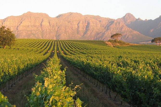 Private Full-Day Stellenbosch Wine Tour - Tour Itinerary and Highlights