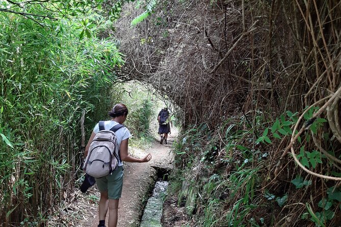 Private Guided Walk Levada Brasileiro – Levada Do Moinho - Accessibility and Amenities