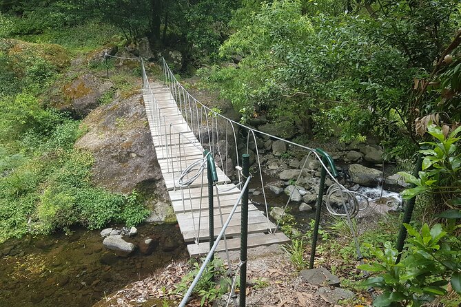 Private Guided Walk Levada Castelejo - Price and Group Size