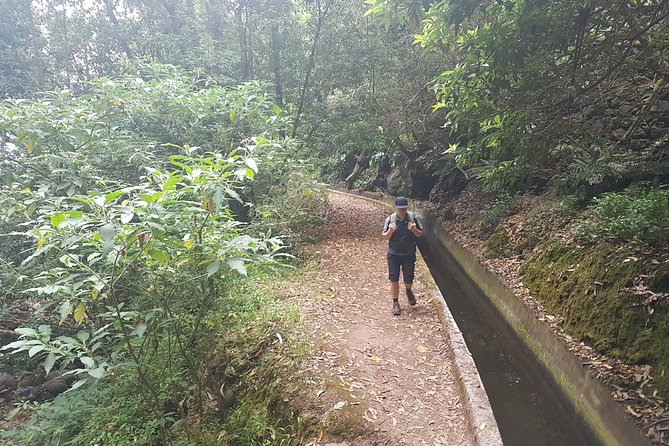 Private Guided Walk Levada Monte to Palheiro Ferreiro - Customer Reviews