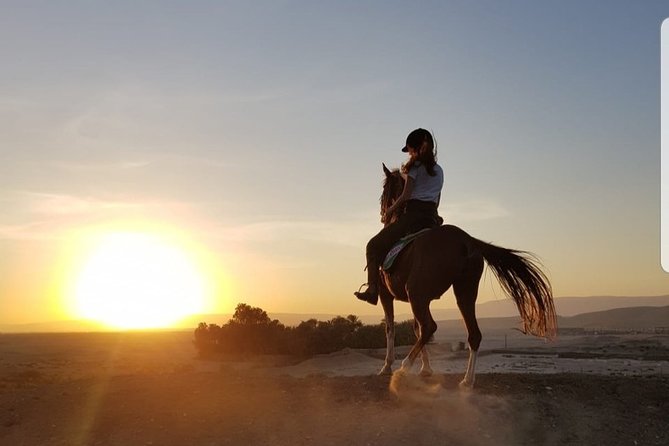 Private Horse Riding Tour in Luxor West Bank - Booking Information and Price Details