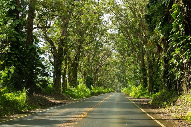 Private Kauai Island Tour-Featuring the Waimea Canyon - Common questions