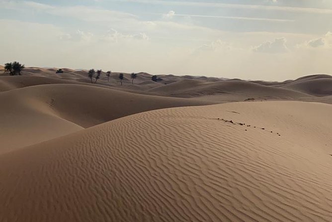 Private Morning Desert Safari Adventures With ATV Quad Bike and Camel Rides - Last Words