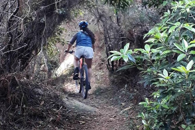 Private Mountain Biking Adventure in Sintra Cascais Park - Last Words