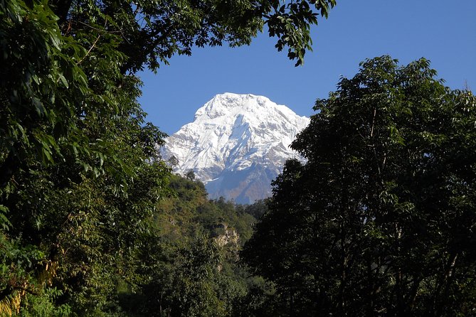 Private Multi Day Nepal Poon Hill Trekking Tour - Tour Pricing