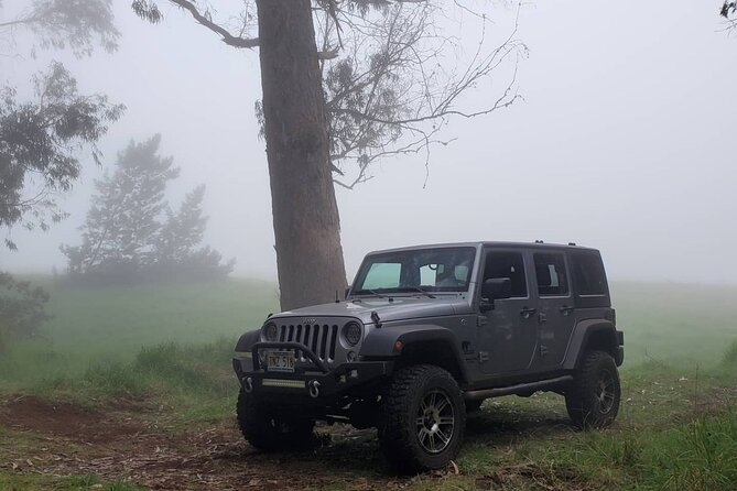 Private "Rocky Coast Excursion" Jeep Tour in Maui Island - Common questions