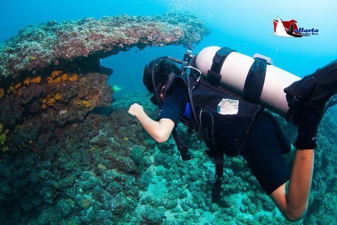 Private Scuba Diving Puerto Vallarta Undersea - Common questions