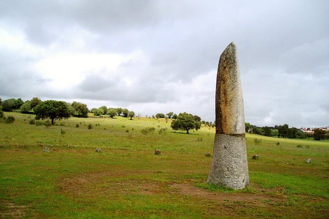 Private Tour Alentejo, Evora, Monsaraz, Mourão-Medieval Times Lunch&Wine Tasting - Flexible Cancellation Policy