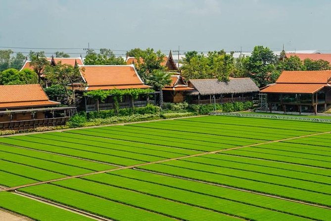 Private Tour: Fascinating Ayutthaya & Suphanburi Full Day Tour - Last Words