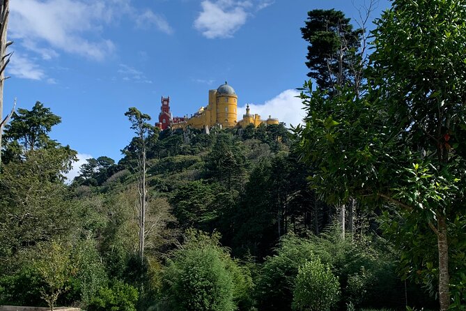 Private Tour, Sintra With Pena Palace and Quinta Da Regaleira FD - Tour Guide Expertise