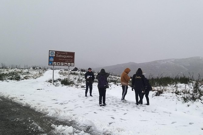 Private Tour Through Serra Da Estrela Park and Its Famous Cheese - Common questions