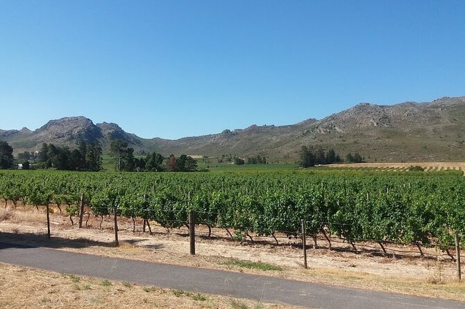 Private Tour to Stellenbosch Franschoek Wineries From Cape Town Price per Group - Tour Inclusions