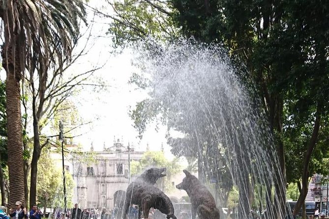 Private Tour: Xochimilco, Coyoacan and Frida Kahlo Museum in Mexico City - Common questions