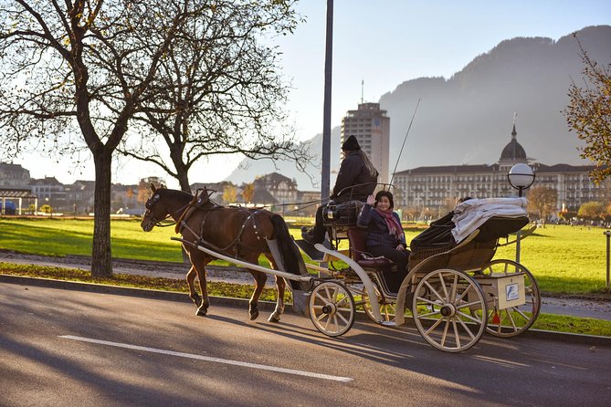 Private Trip From Geneva to Interlaken - Directions