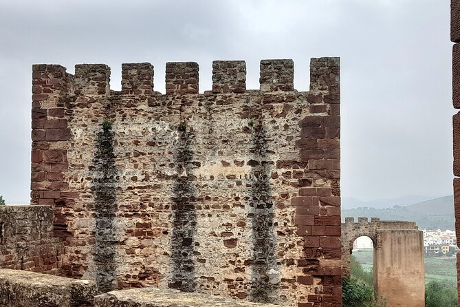 Private Van Tour To Silves Castle and Monchique Mountain - Optional Activities