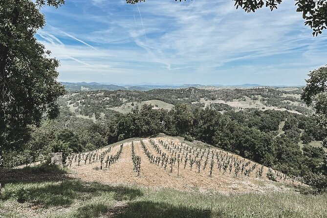 Private Wine Tour in Paso Robles - Common questions