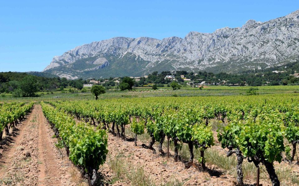 Provence, Vineyards & Lavender Fields Private Day Trip - Additional Information and Location Details