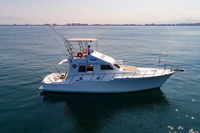 Puerto Vallarta Private Fishing Trip Aboard the Isabella - Encounter With Local Marine Life