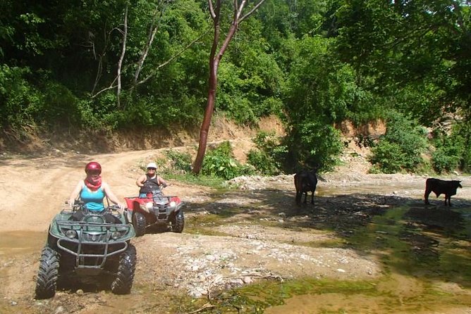 Puerto Vallarta to Rancho Las Vegas ATV Adventure Private Tour - Common questions