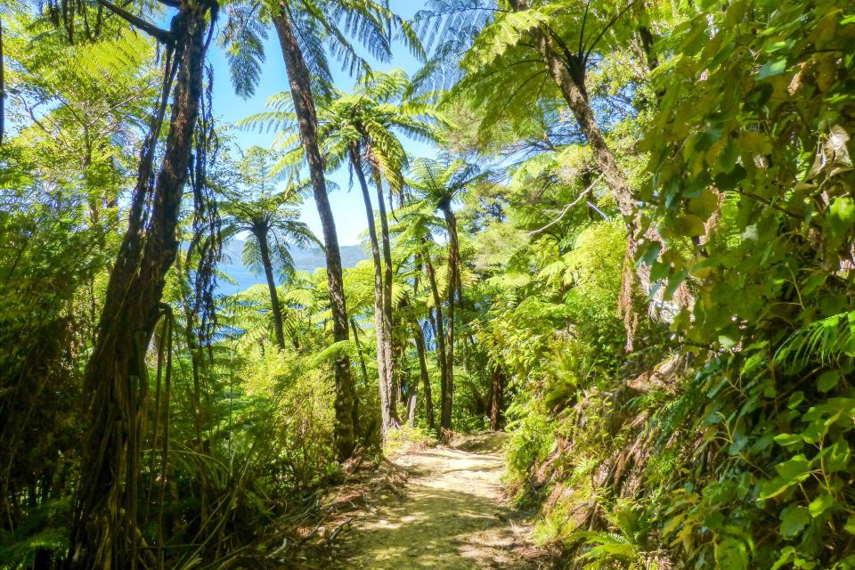 Queen Charlotte Track: Cruise & Self-Guided Hike From Picton - Additional Information
