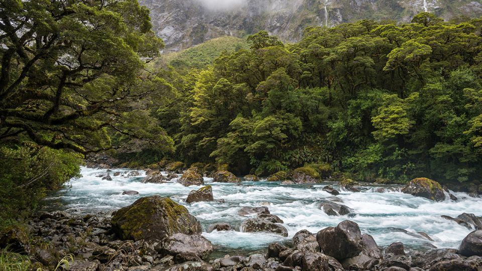 Queenstown: Small-Group Tour to Milford Sound With Cruise - Common questions