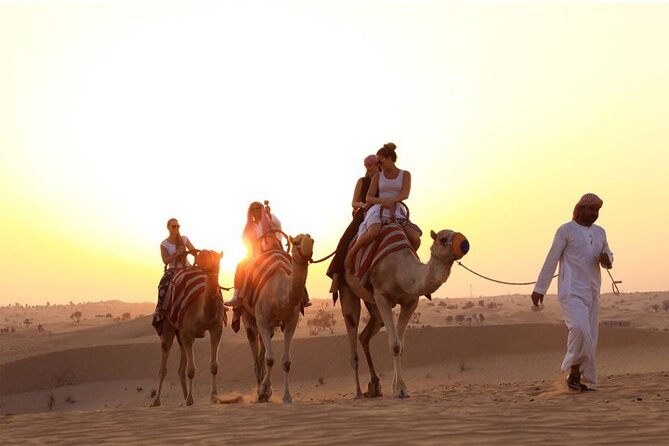 Red Dunes Desert Safari Dubai With Camel Riding and BBQ Dinner - Common questions