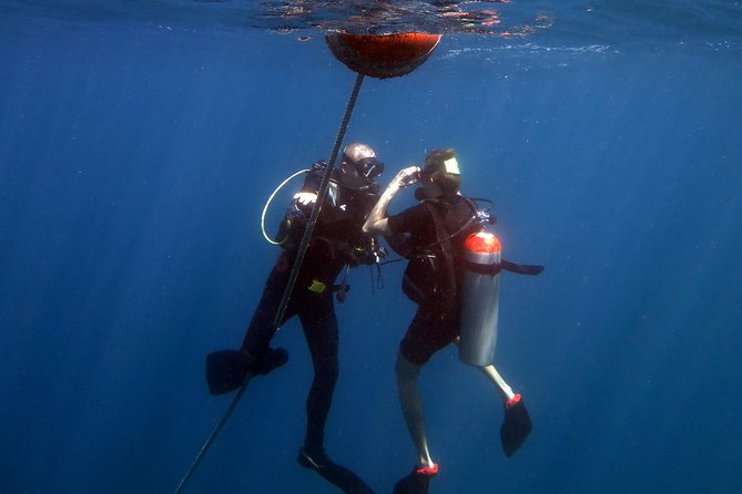 Rescue Diver and EFR ( Start at Koh Chang) - Common questions