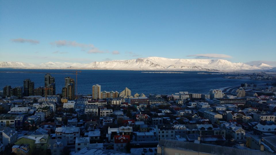 Reykjavik: Express Walk With a Local in 60 Minutes - Important Information