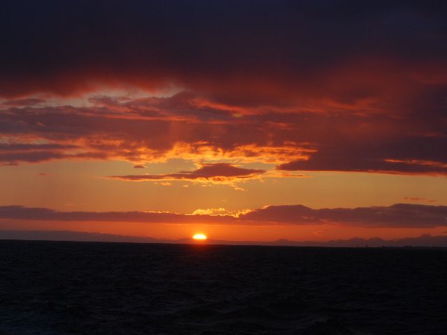 Reykjavik: Midnight Sun Whale Watching Tour - Sunset Whale Watching Cruise