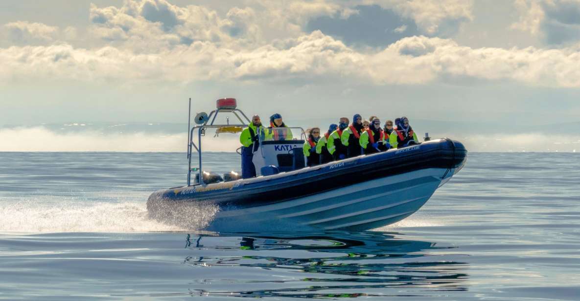 Reykjavík: RIB Speed-Boat Puffin Watching Tour - Tour Duration and Transportation