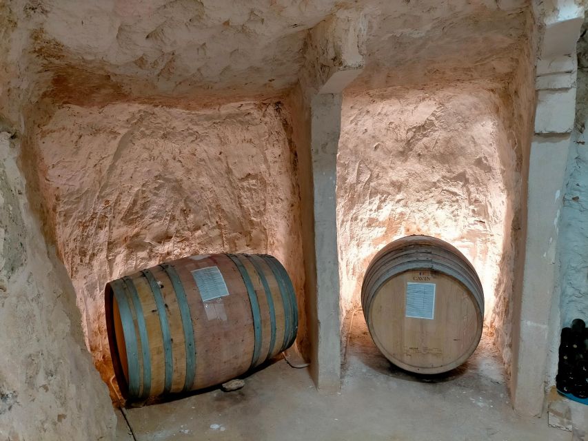 Ribera Del Duero: Wine Tour From Madrid - English or Spanish - Guide Certification and Winery Visits