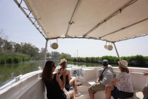 Riumar: Ebro Delta Cruise and Jeep Tour With Mussels Tasting - Culinary Delight