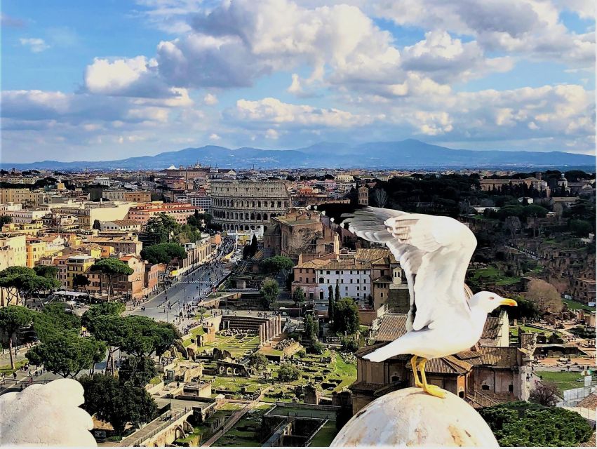 Rome: Vatican, Colosseum & Main Squares Tour W/ Lunch & Car - Customer Reviews and Testimonials