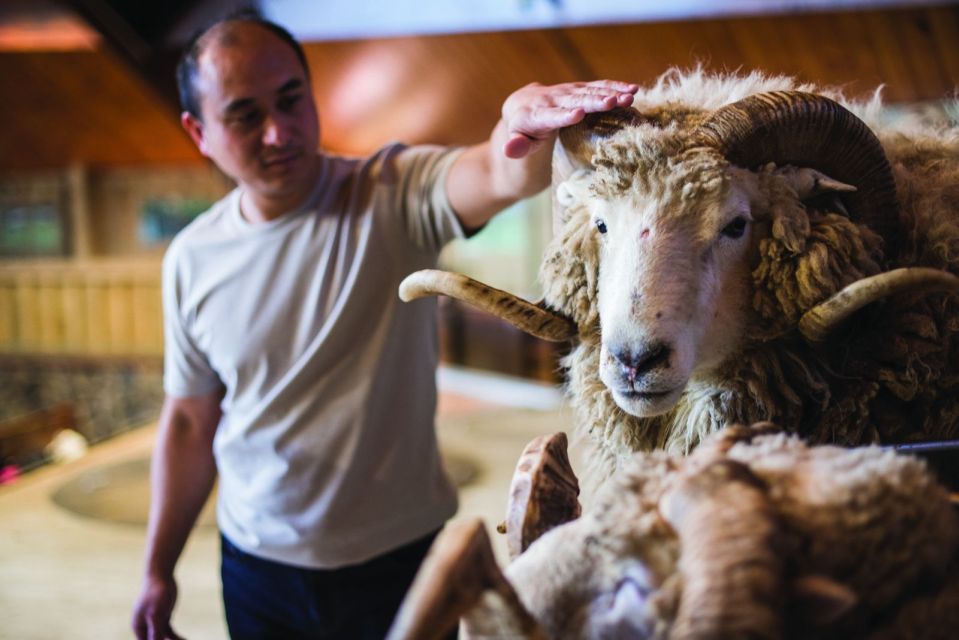 Rotorua: Agrodome Farm Tour With Show and Produce Tasting - Weather Recommendations