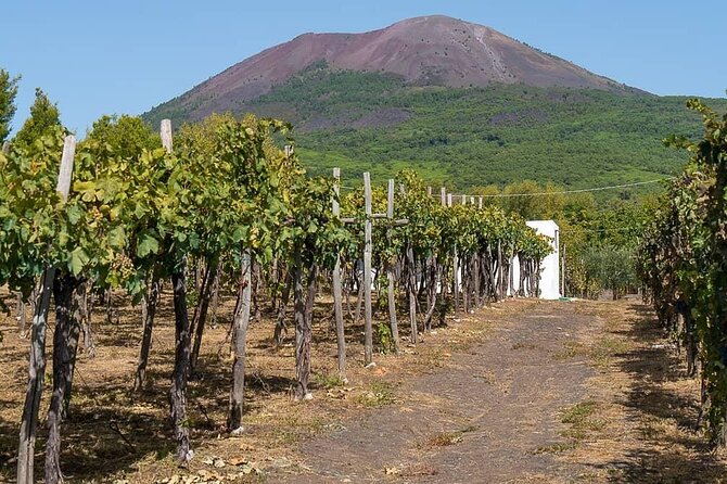 Round Trip From Naples Area- 2hrs Stop in Pompeii and 2hrs Winery - Directions & Recommendations