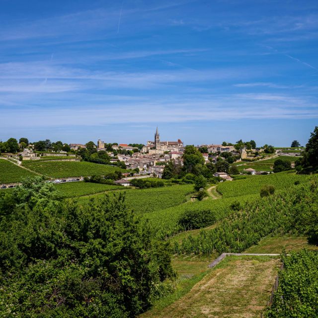 Saint Emilion Half Day Ebike and Wine Tour With Picnic - Last Words