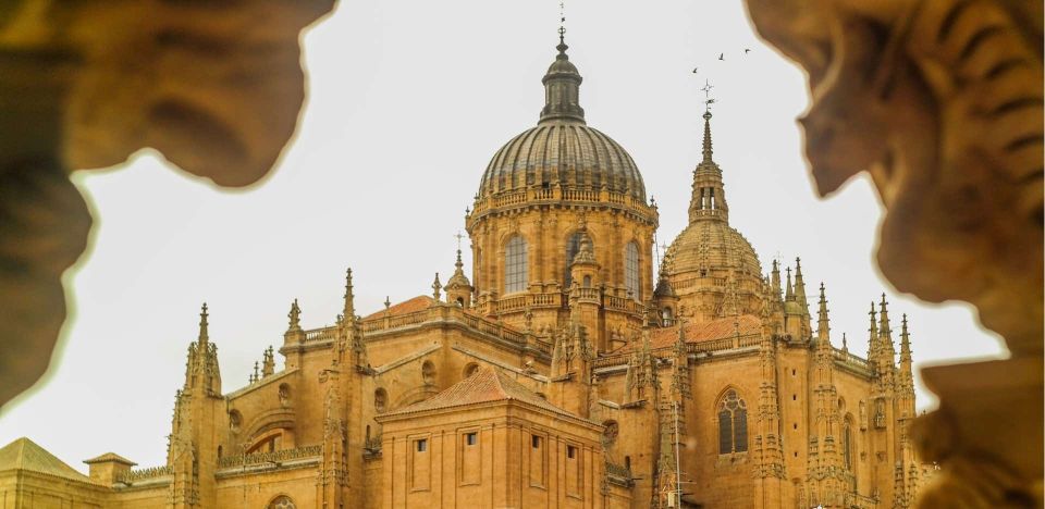 Salamanca: Private Guided Customizable Walking Tour - Important Information
