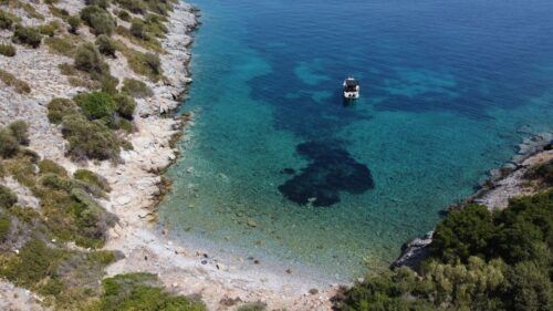 Samos: Private Boat Tours - Customer Reviews