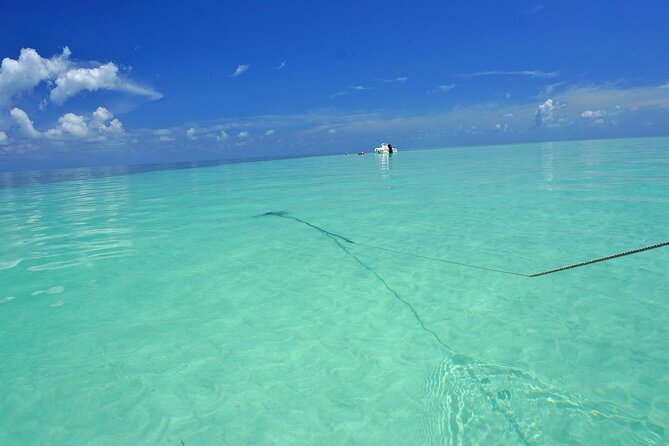 Sandbar Excursion in Key West - Additional Information and Resources