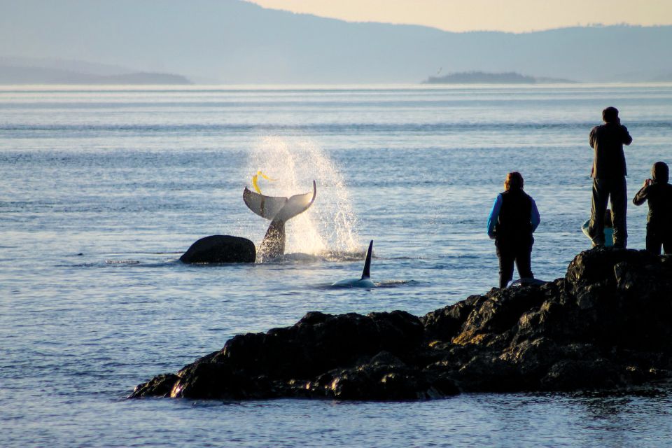 Santa Maria - Monterey: Pacific Coast Self-Driving Tour App - Directions for Tour