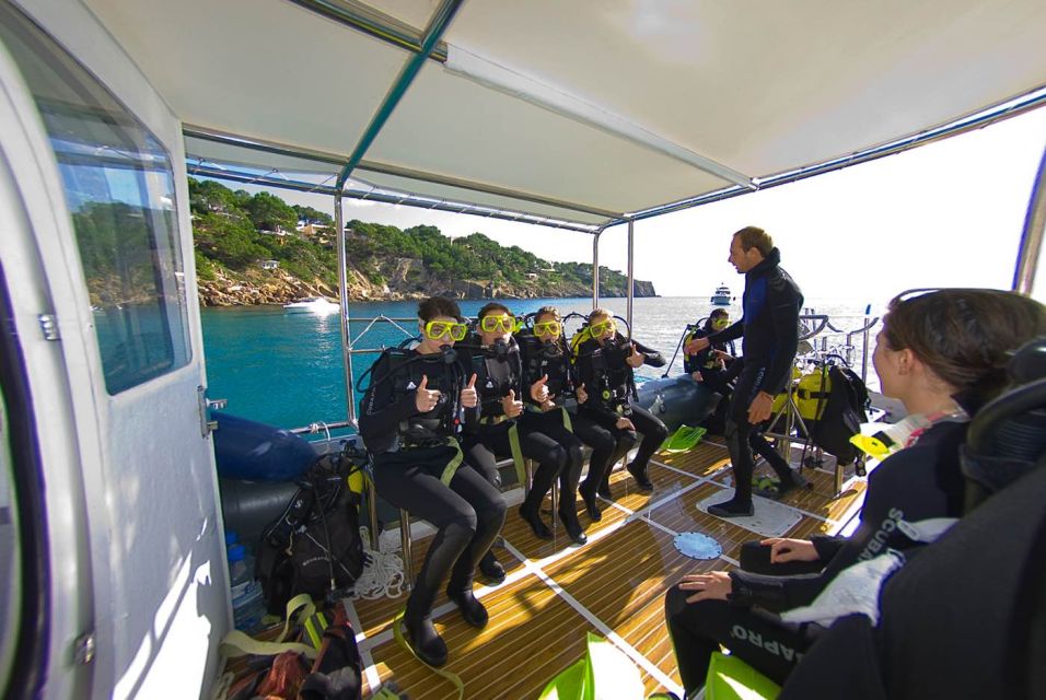 Santa Ponsa: Try Scuba Diving in a Marine Reserve - Directions