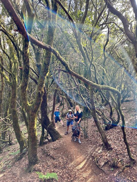 Santiago Del Teide: Masca Enchanted Forest Hiking Tour - Common questions