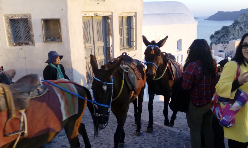 Santorini: Small-Group Highlights Tour of Venetian Castles - Not Suitable For